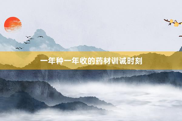 一年种一年收的药材训诫时刻