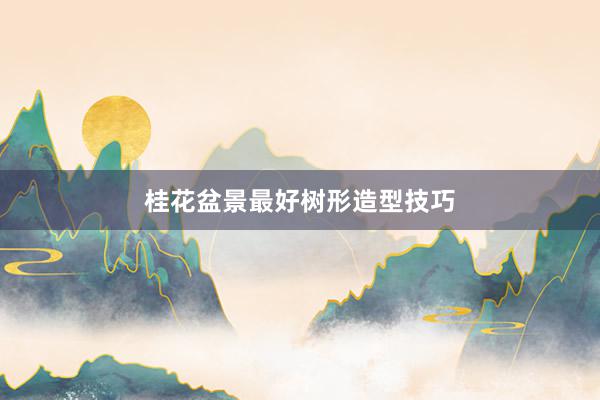 桂花盆景最好树形造型技巧